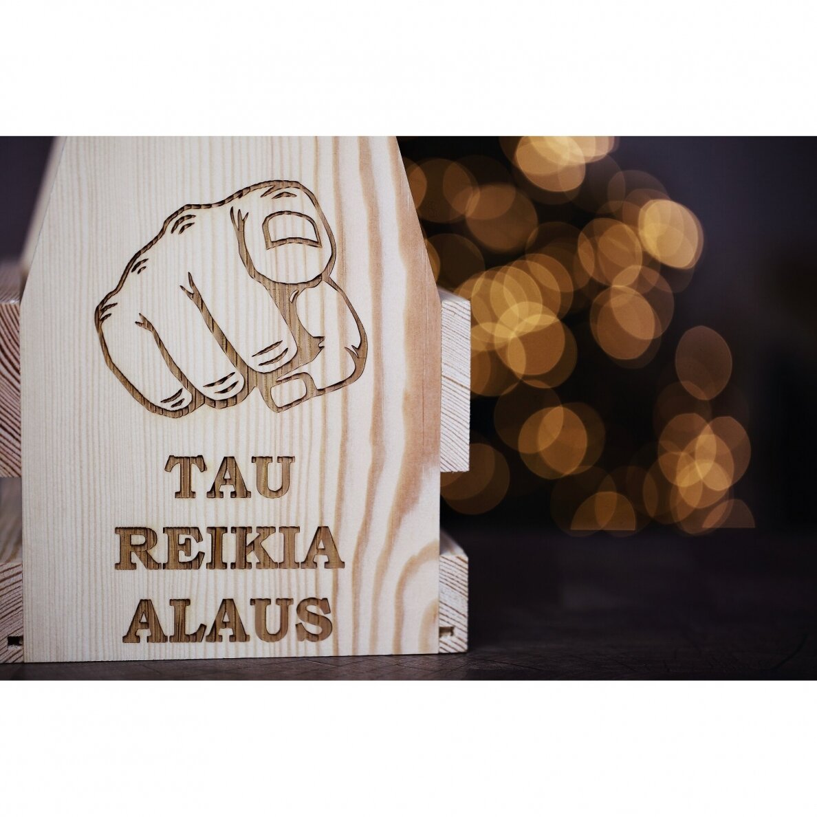 Alaus butelių dėžė "Tau reikia alaus" 1